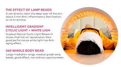 LANMEIREN 4 Colors Light PDT LED REN Light Therapy Device Acne Treatment Beauty Salon SPA Skin Care for Face, Neck and Body