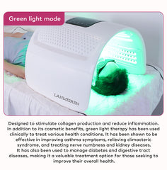 LANMEIREN Hot Sale LED PDT Machine Skin Care LED Light Therapy Machine PDT LED Skin Acne Treatment for Face, Neck, Arm, Leg, and Body