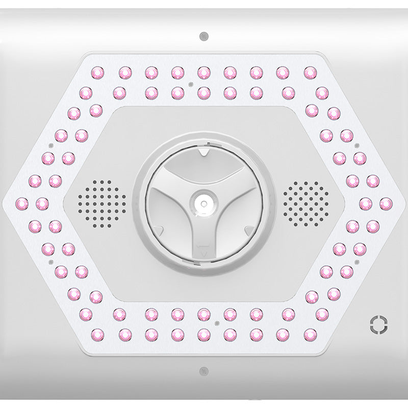 LANMEIREN 7 Color LED Light Therapy Skin Care Machine Red Light Therapy Wrinkle Removal Device LED Facial Mask Beauty Equipment with Steam