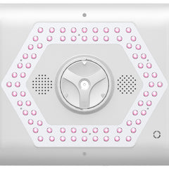 LANMEIREN 7 Color LED Light Therapy Skin Care Machine Red Light Therapy Wrinkle Removal Device LED Facial Mask Beauty Equipment with Steam